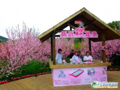 ��혙ѻ��@�DƬ����203�ѻ��@