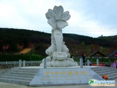 ���B��혙ѻ��DƬ_���203�ѻ��@