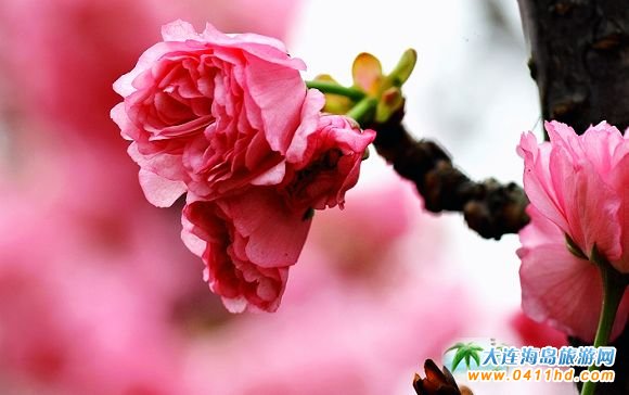 ��혙ѻ���(ji��)