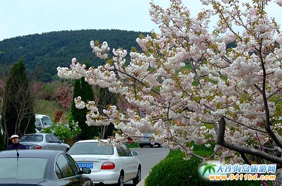 ��혙ѻ���(ji��)