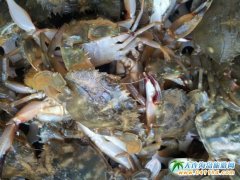 ��֮퍶ȼٴ庣�r��B