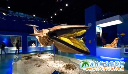 ��ʯ�����ι���