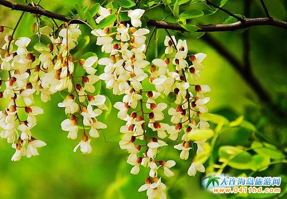 2014���B�p�������