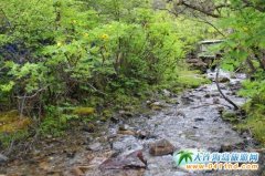 �������������YԴ�S�� ��֥�ĺ󻨈@