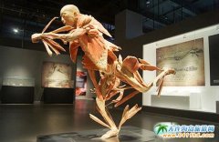 ���B��ʯ������Ʒ�|�c��������w������