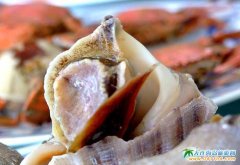 ���ɍu�DƬ������������