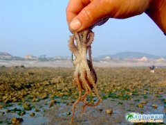 ���ɍu�DƬ����ץ�M��