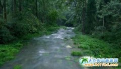 �����������������硪�����ҽ�