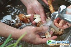 ����֥���M(j��n)��Ȼ�ı��� ������ �L�L�r