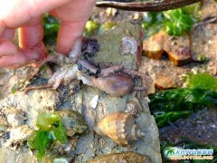 �ի@�Ҹ�,�ի@�옷(l��),��?y��n)��? title=