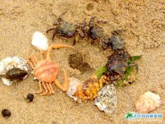 ���ɍuȤ�D:���C���(hu��),Ⱥз���(zh��n)