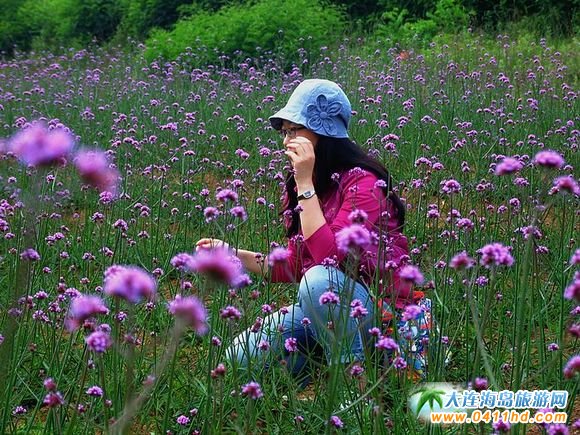 ���B޹�²��f�@