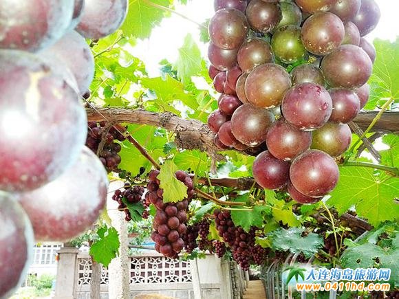 ���B������