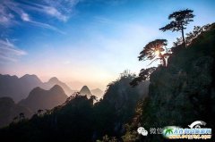 ���Tɽɭ�ֹ��@�DƬ��������ɽ�G