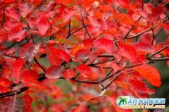 �˗l�����¾����p�����t�~ �������˶ྰ�c(di��n)������