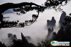 ȥ���ҽ����� ��һ��(ch��ng)�Ƶļs��(hu��)