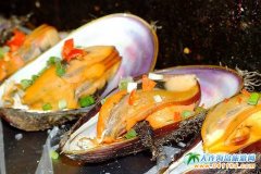 ���B�������＾�������m��