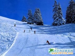 ���δ��B ��Ȫ����ѩ�e��һ���L(f��ng)�