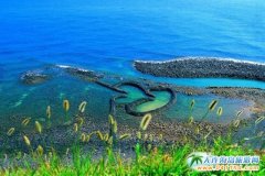 Ԫ����ꑿͣ���غ����_�k 15���(n��i)���ν��R��