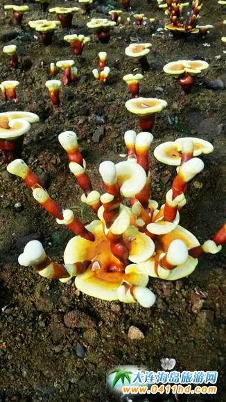 ���B����`֥�Nֲ�@