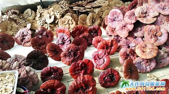 ���B����`֥�Nֲ�@