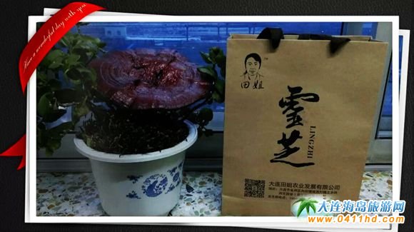 ���B����`֥�Nֲ�@