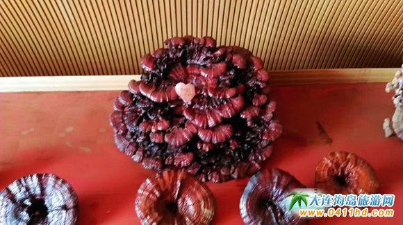 ���B����`֥�Nֲ�@