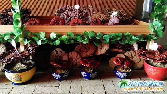 ���B����`֥�Nֲ�@