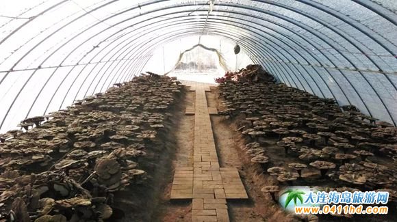 ���B����`֥�Nֲ�@