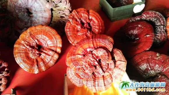 ���B����`֥�Nֲ�@