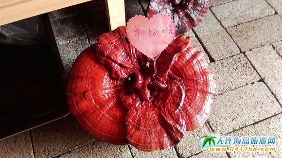 ���B����`֥�Nֲ�@