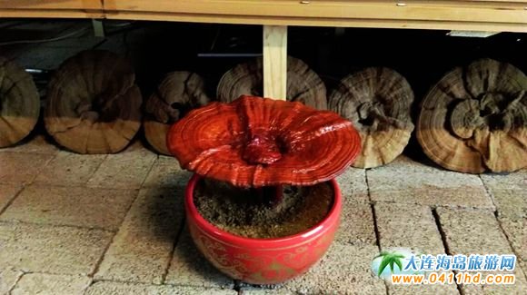 ���B����`֥�Nֲ�@