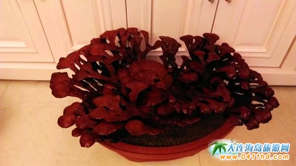 ���B����`֥�Nֲ�@