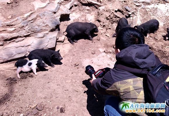 ���ɽ����ֱͨ܇