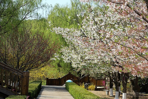 �������ߵ��p�ѻ�