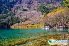 ���¾�կ�ϣ��@��(g��)������Ҋ��ľG��