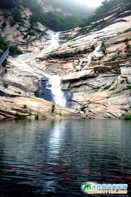 2015���B�p����