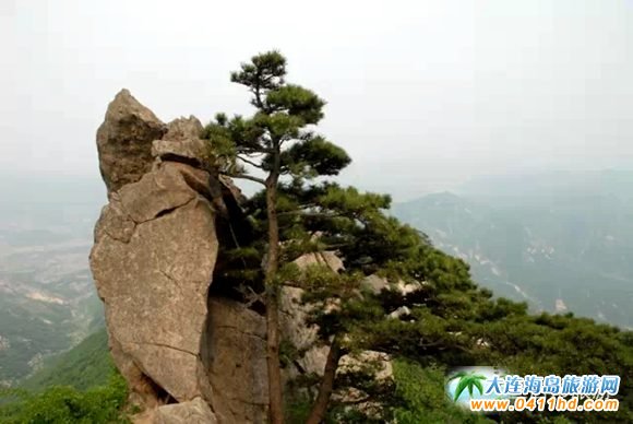 2015���B�p����