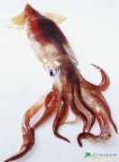 ���u��ʳ֮�ҵ���?l��i)?��i)-���~(y��)