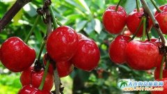 �A(y��)ӆ�H���溣�������Ҳ�ժ���ػ�