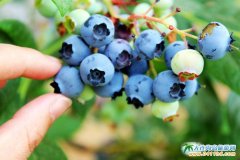 ���B��ʯ�{(l��n)ݮ��ˇ�g(sh��)����zӰ��ِ