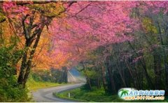 ��̩�����ξ��c���ԡ�̩���@Щ������֪�������ؾ���֪���ׂ���