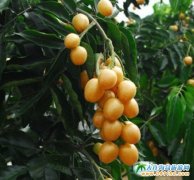 7���SƤ�������ݵ�����(l��i)��ժ