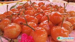 2015���B��(gu��)�H����ҹ�(ji��)ϵ�л��(d��ng)��