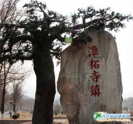 ����̶�����(zh��n)���ȫ��(gu��)�������(zh��n)���ɞ�������ѵ�֮һ