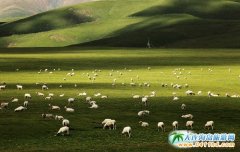 ���B��ԭ���������B��ԭ������Щ�L(f��ng)�����ຣ�ǂ���ԭ����