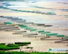 ����ϼ�����Σ�����ϼ�����ι������w�m��Ⱦ�ĺ�����Դ