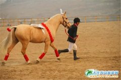 �g�����_(d��)Ľ����8��8��¡�����_�������ο����TƱ��