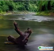 �Ĵ��Ƚ�ʯ����������Ĵ��Ƚ�ʯ������ι��ԣ��Ĵ��Ƚ�ʯ�����