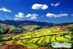 �ն��ż��l(xi��ng)����2700���������Ұ����������ڵ�